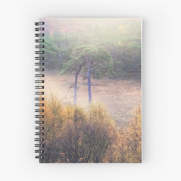 Item preview, My Place designed and sold by ShinyPhoto.