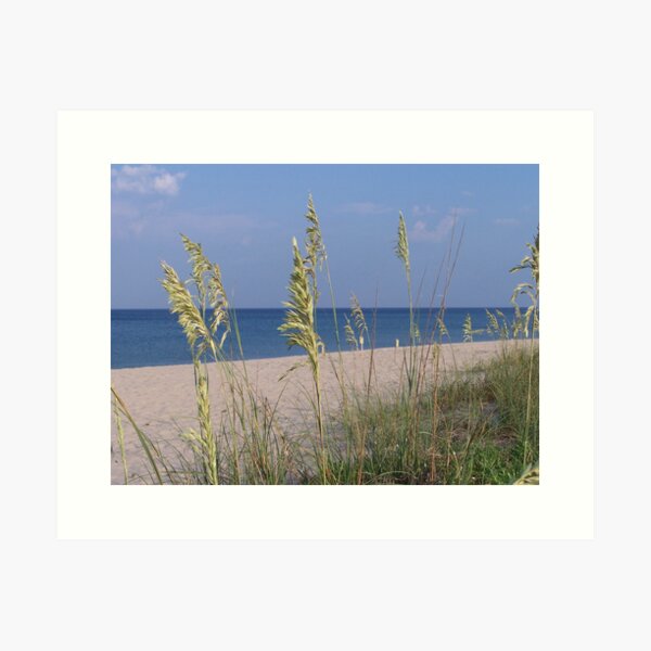 Sea Oats Art Print
