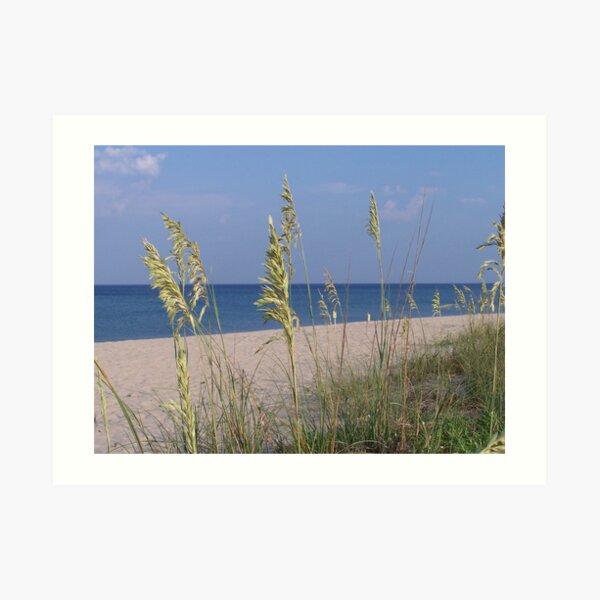 Sea Oats Art Print