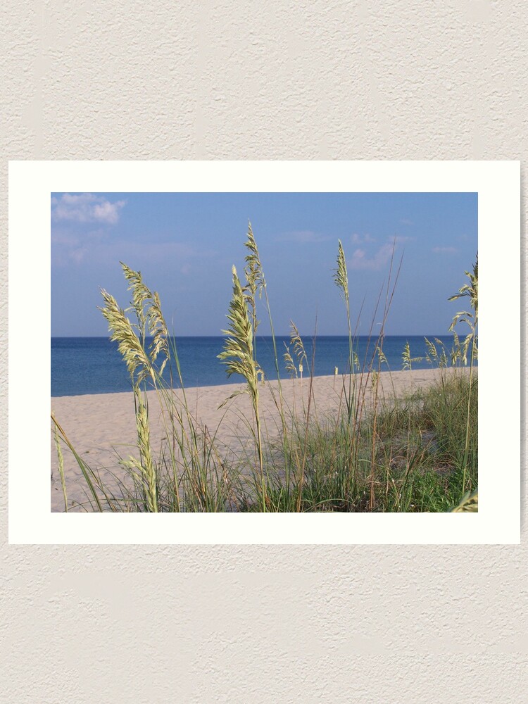 Alternate view of Sea Oats Art Print