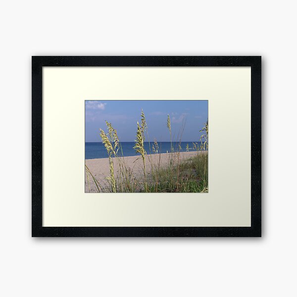 Sea Oats Framed Art Print