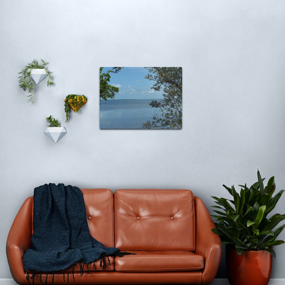 Tavernier Water View Metal Print