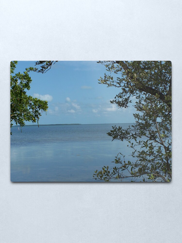 Alternate view of Tavernier Water View Metal Print