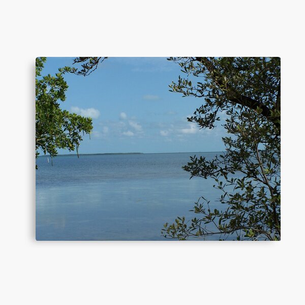 Tavernier  Water View Canvas Print