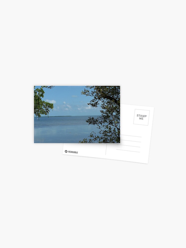Thumbnail 1 of 2, Postcard, Tavernier Water View designed and sold by DianaTaylor/ JacksonDunes.