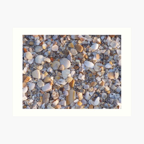 Shell Hash Art Print