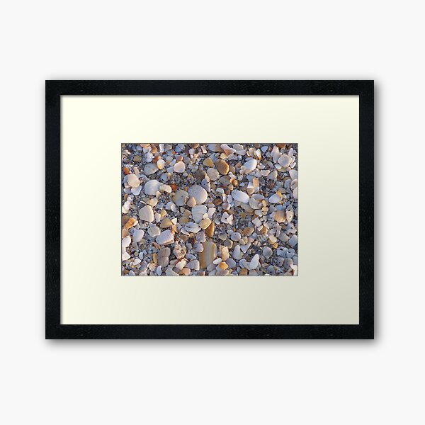 Shell Hash Framed Art Print