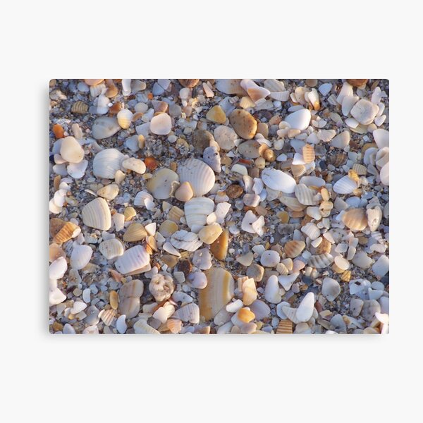 Shell Hash Canvas Print