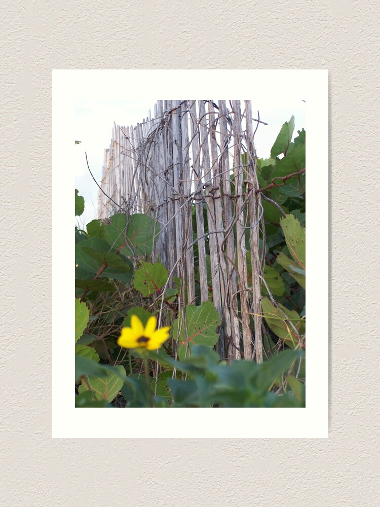Alternate view of Beach Fence With Flowers Art Print
