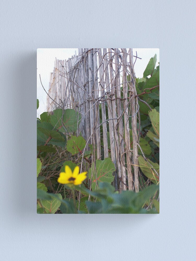 Alternate view of Beach Fence With Flowers Canvas Print