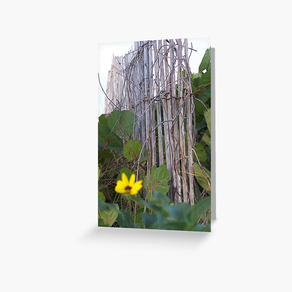 Beach Fence With Flowers Greeting Card