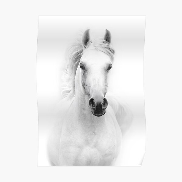 White Horse Poster