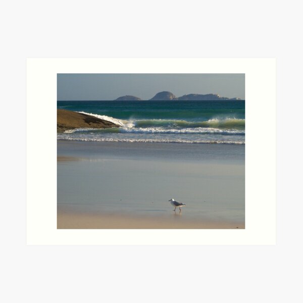 Evening Stroll, Wilsons Promontory Art Print