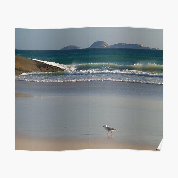 Evening Stroll, Wilsons Promontory Poster