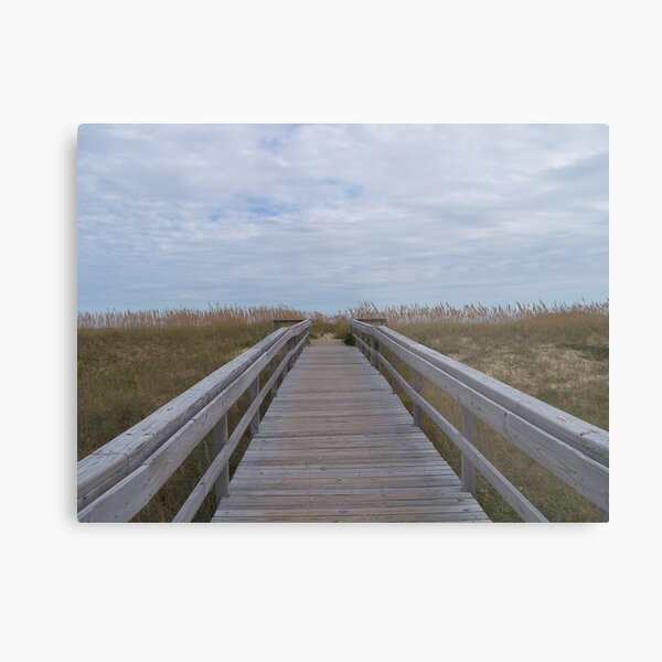 Metal Print