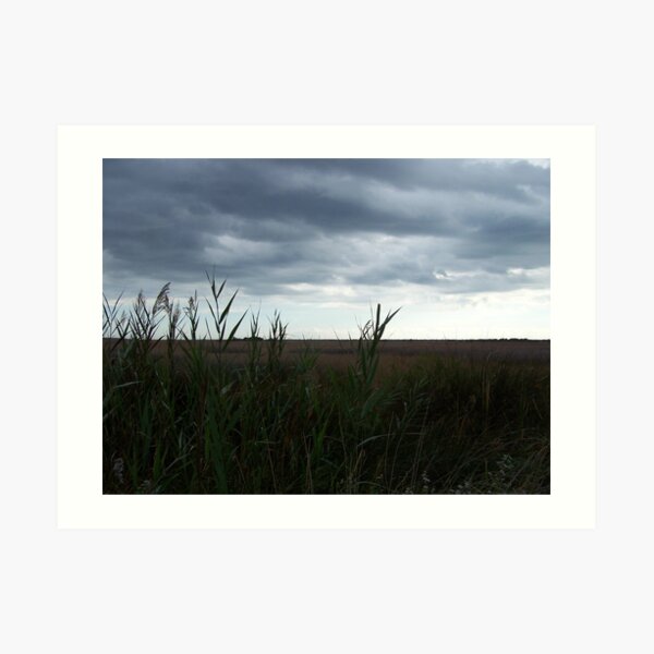 Art Print