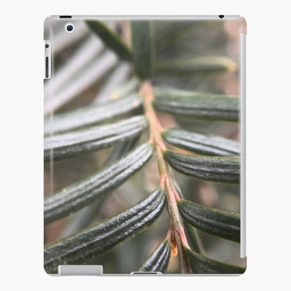 pine iPad Snap Case