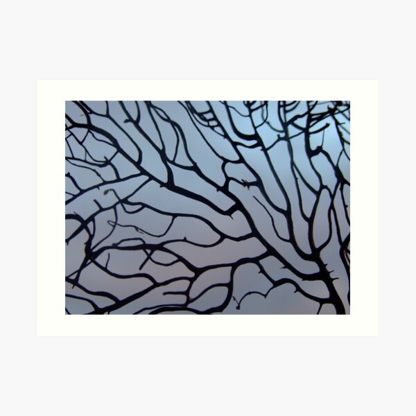 see thru Art Print