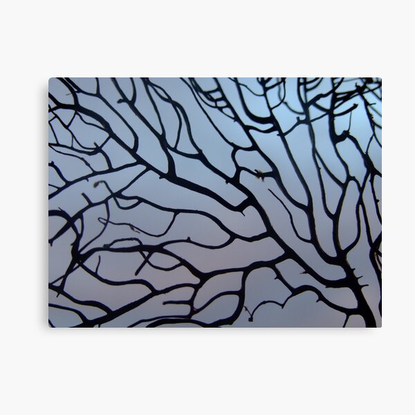 see thru Canvas Print