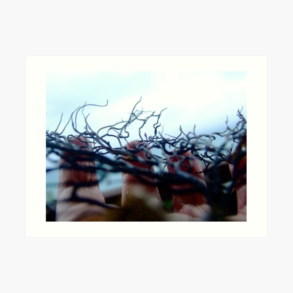 seaweed Art Print
