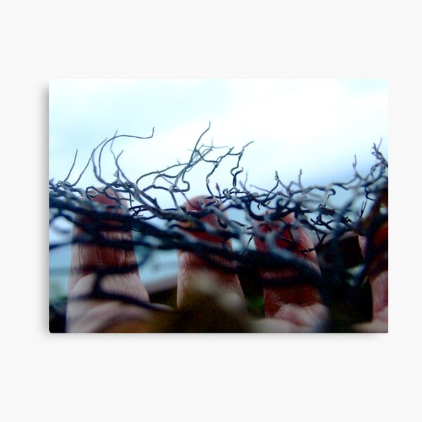 seaweed Canvas Print