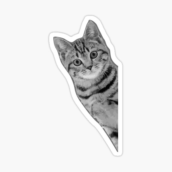 Peeking Cat Stickers Redbubble