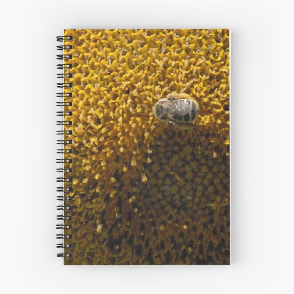 Aperçu de l'œuvre Blending In créée et vendue par Colleen Drew.