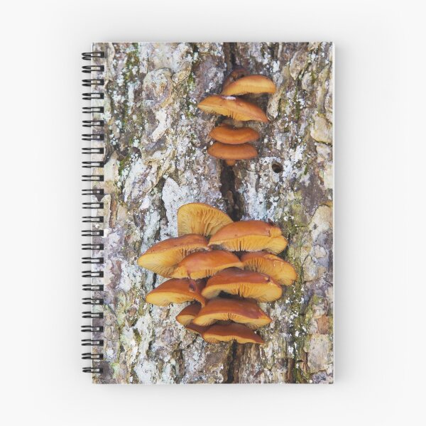 Item preview, Mushrooms designed and sold by Alice Kahn.
