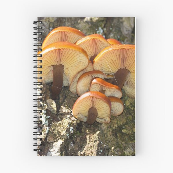 Item preview, Winter Mushrooms2 designed and sold by Alice Kahn.