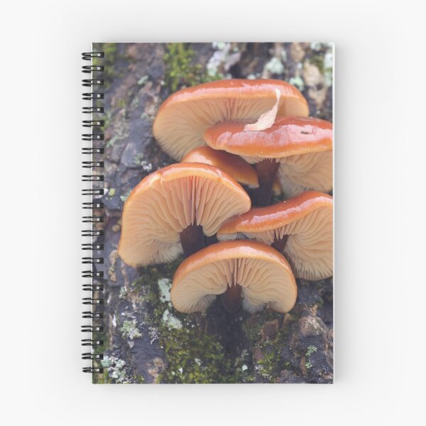 Item preview, Mushrooms3 designed and sold by Alice Kahn.
