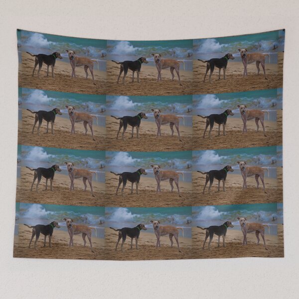 Item preview, Panama. Bocas del Toro. Red Frog Beach. Two dogs. designed and sold by vadim19.