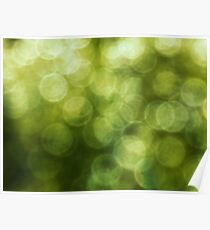 Green Light Poster