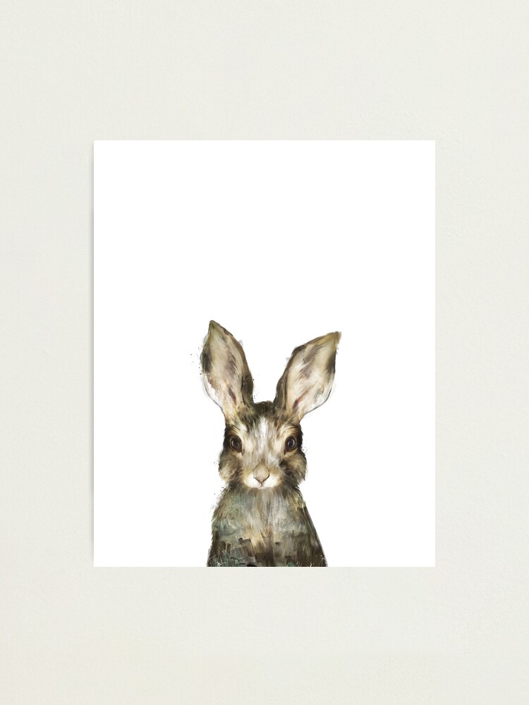 Alternate view of Little Rabbit Photographic Print