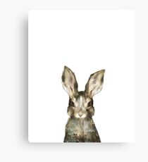 Little Rabbit Canvas Print