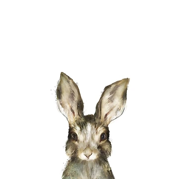 Artwork thumbnail, Little Rabbit by Amy Hamilton