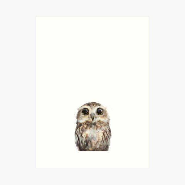 Little Owl Art Print