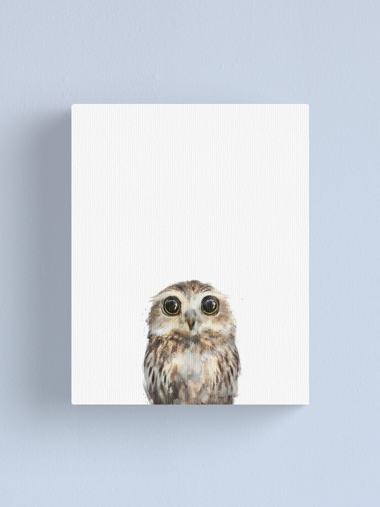 Alternate view of Little Owl Canvas Print