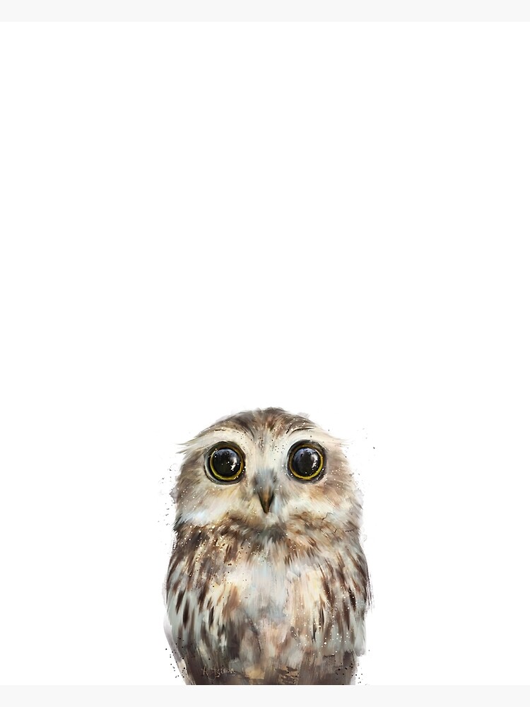 Little Owl by AmyHamilton