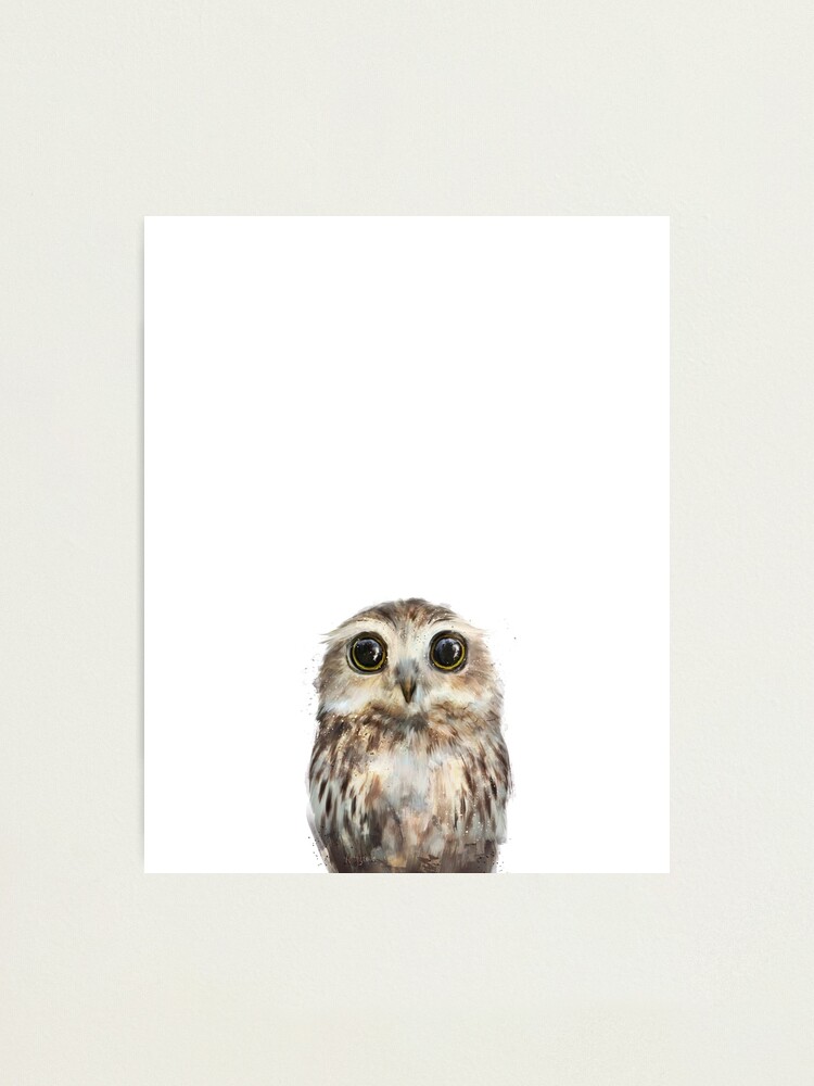 Alternate view of Little Owl Photographic Print
