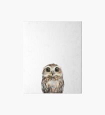 Little Owl Art Board