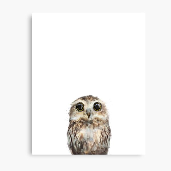 Little Owl Metal Print