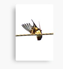 please look up at me..... Canvas Print