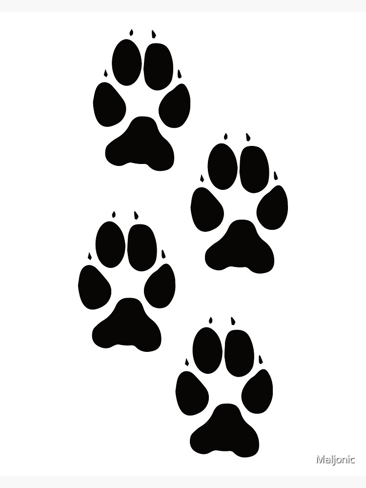 Animal Tracks Print Canvas Sign Woodland Animal Tracks Sign Paw Prints  Forest Animal Framed Print Nature Decor for Boys Girls Wall Art 