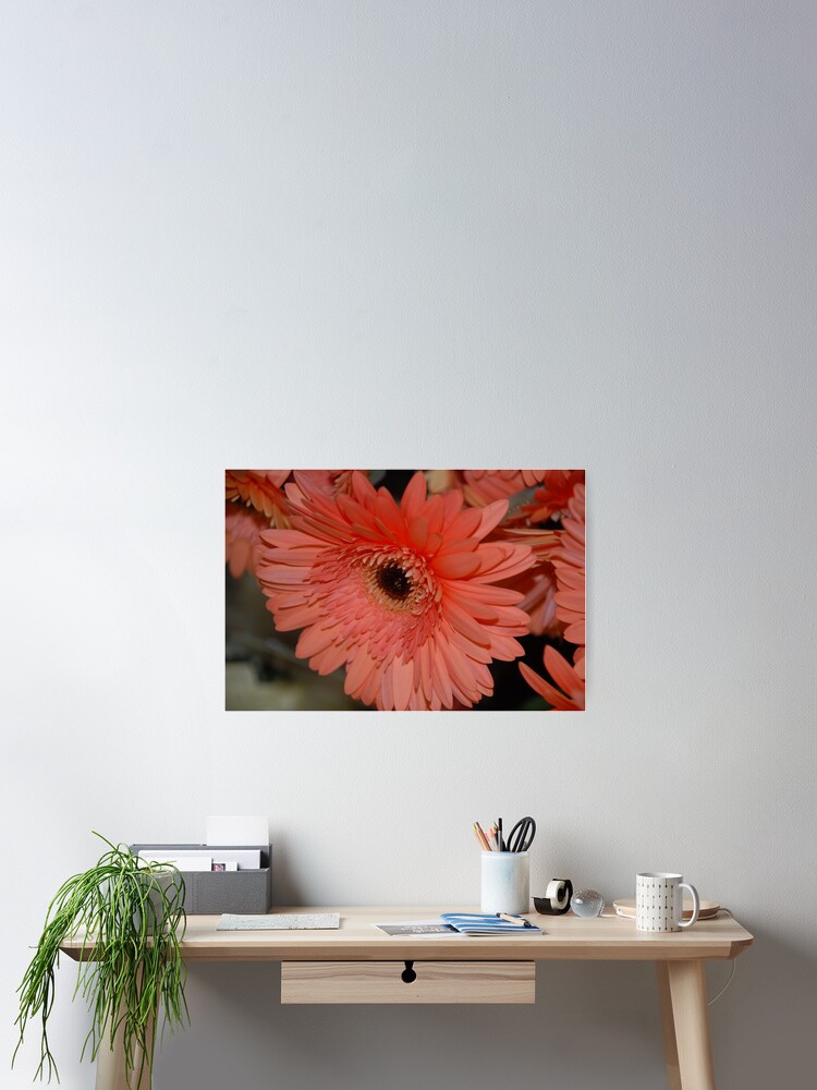 Thumbnail 2 of 3, Poster, Looking Pretty designed and sold by deville.