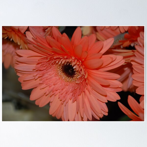 Item preview, Looking Pretty designed and sold by deville.