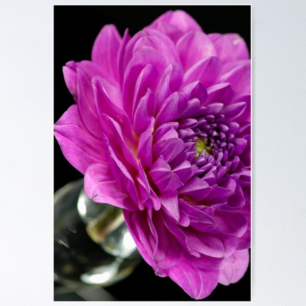 Item preview, In Bloom designed and sold by Skye24Blue.