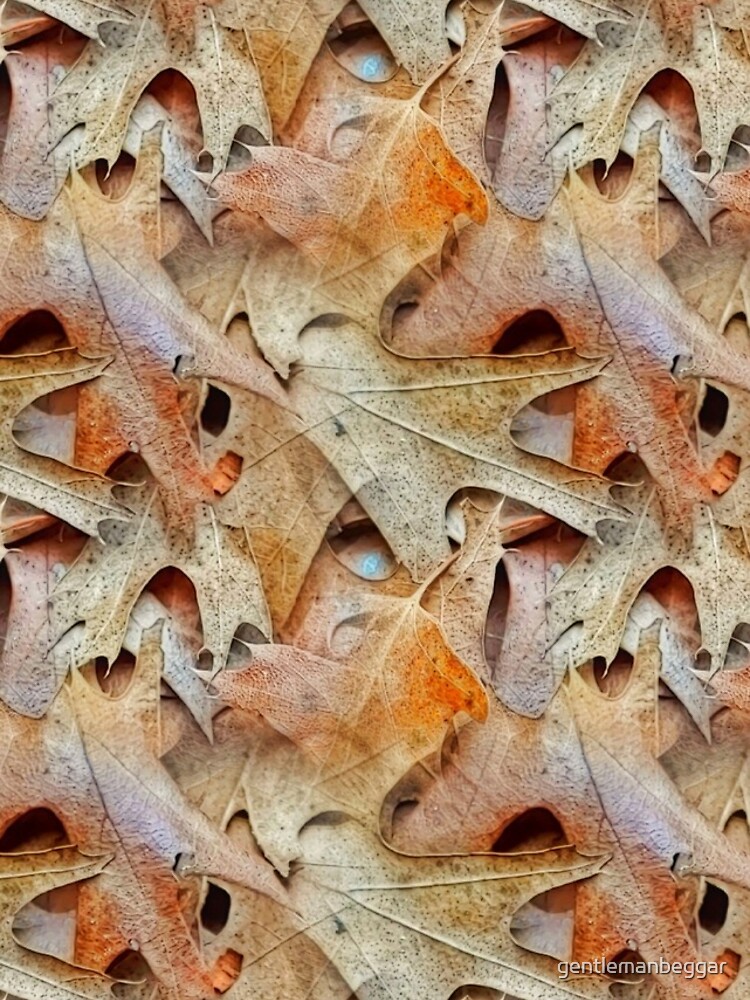 Fall leaves by gentlemanbeggar