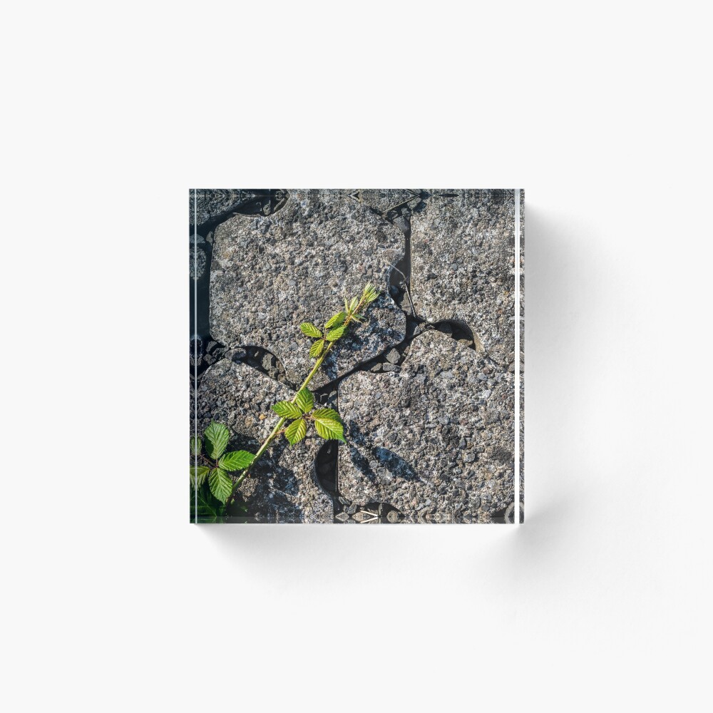 Item preview, Acrylic Block designed and sold by arc1.