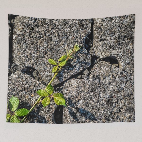 Item preview, Brambles 2 designed and sold by Arc1.