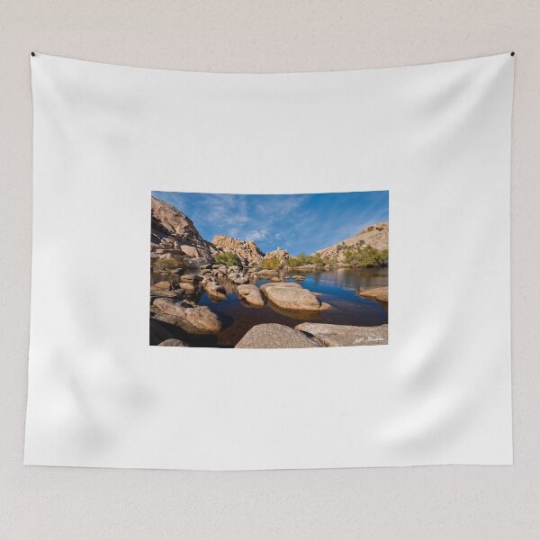 Item preview, Mojave Desert Oasis designed and sold by Jeff Goulden Photography.